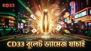 বুলেট ড্যামেজ যাচাইকরণ গেমের সঠিক কৌশল নির্ধারণ করে